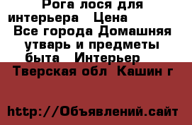 Рога лося для интерьера › Цена ­ 3 300 - Все города Домашняя утварь и предметы быта » Интерьер   . Тверская обл.,Кашин г.